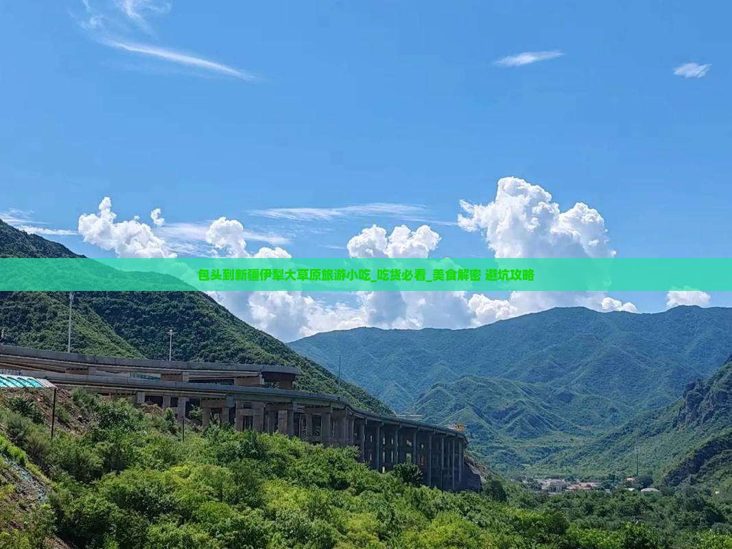 包头到新疆伊犁大草原旅游小吃