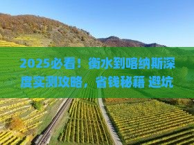 衡水到新疆喀纳斯攻略