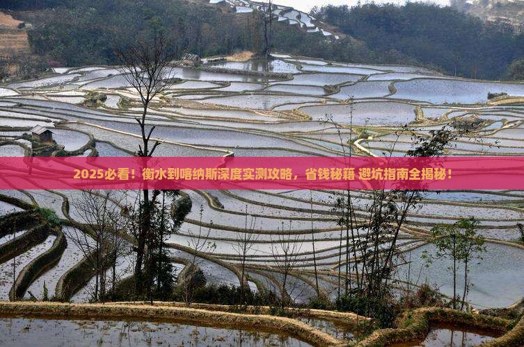 衡水到新疆喀纳斯攻略