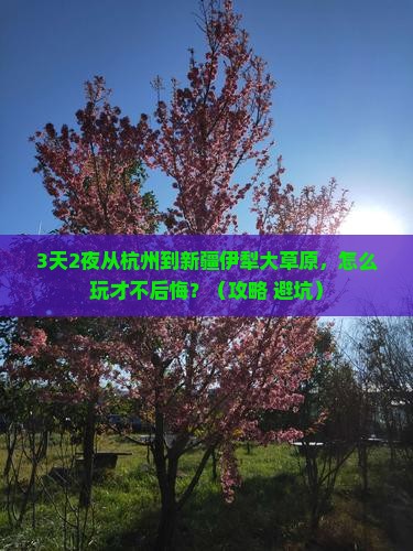 杭州去新疆伊犁大草原一日