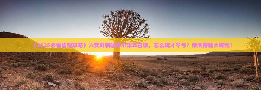 六安到新疆布尔津五日游