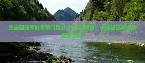 泰安到新疆吐鲁番门票
