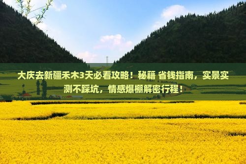 大庆去新疆禾木攻略