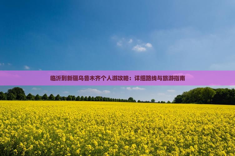 临沂到新疆乌鲁木齐个人游