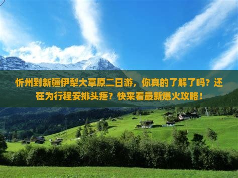 忻州到新疆伊犁大草原二日游