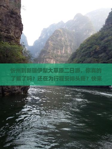 忻州到新疆伊犁大草原二日游