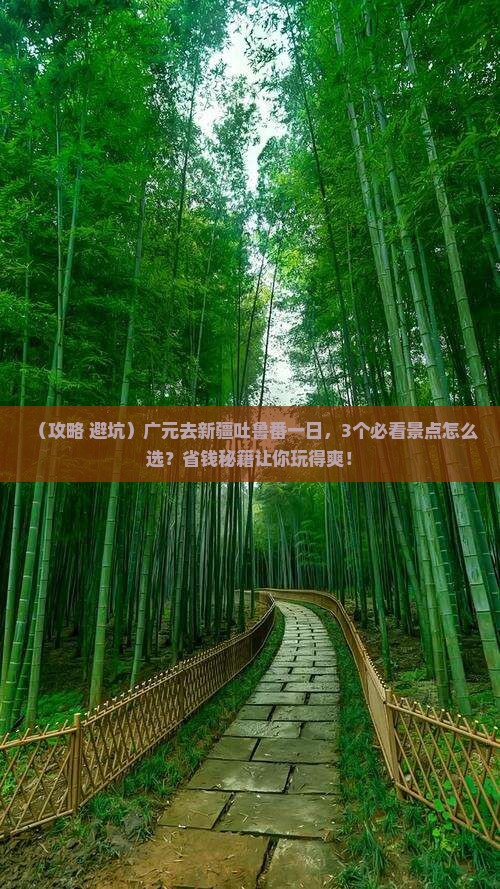广元去新疆吐鲁番一日