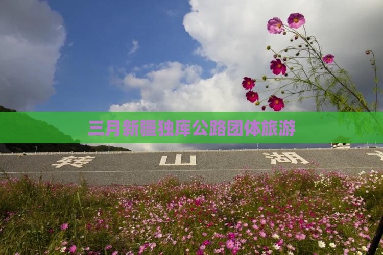 三月去新疆独库公路团体旅游