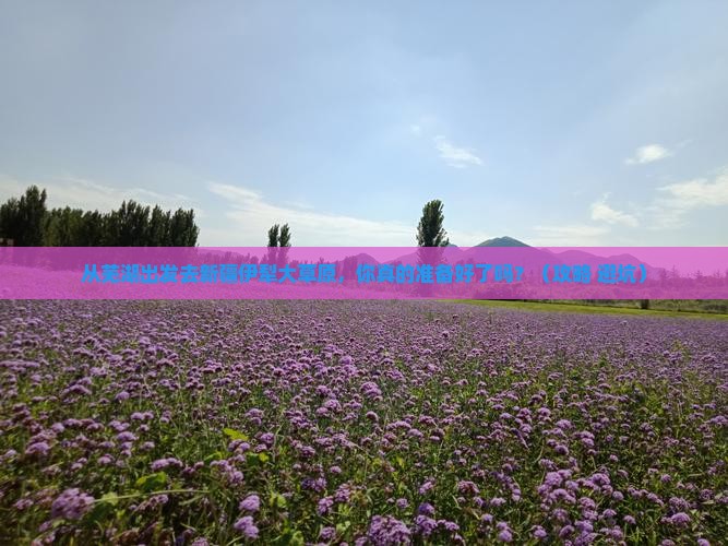芜湖去新疆伊犁大草原旅游