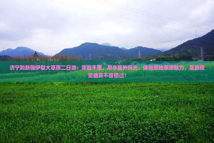 济宁到新疆伊犁大草原二日游