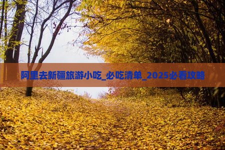 阿里去新疆旅游小吃