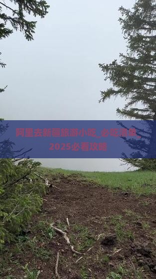 阿里去新疆旅游小吃