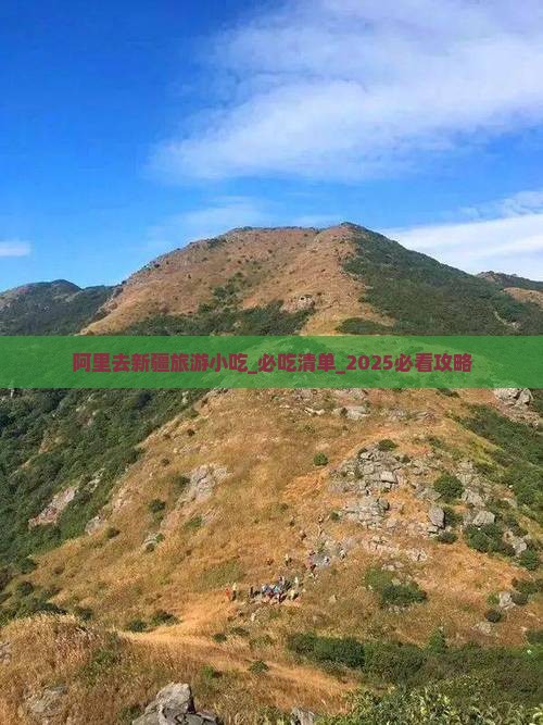 阿里去新疆旅游小吃