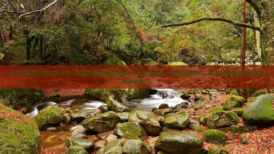 南平去新疆火焰山旅行社