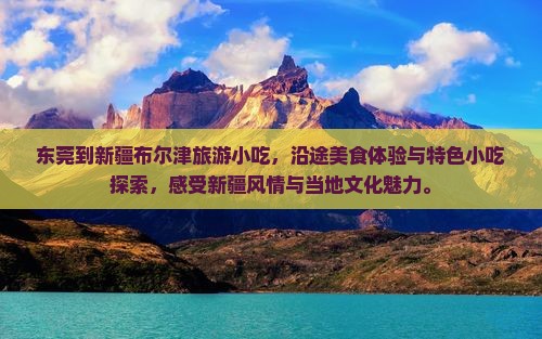 东莞到新疆布尔津旅游小吃