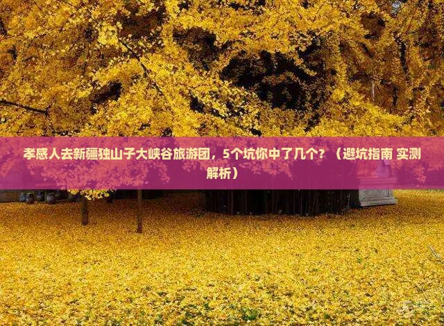 孝感去新疆独山子大峡谷大型旅游团