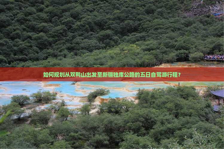 如何规划从双鸭山出发至新疆独库公路的五日自驾游行程？