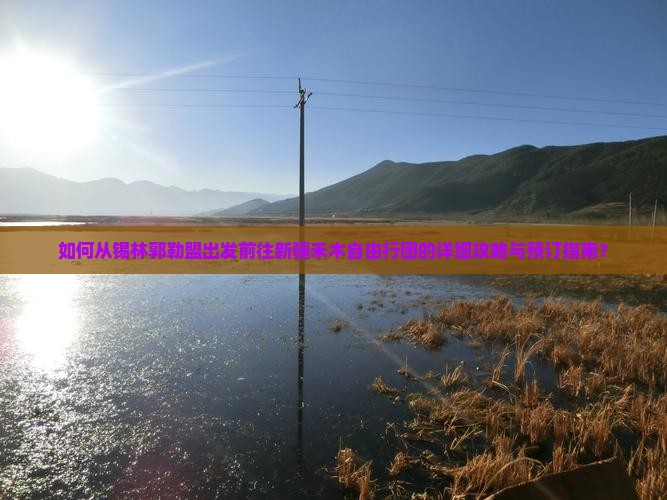 如何从锡林郭勒盟出发前往新疆禾木自由行团的详细攻略与预订指南？