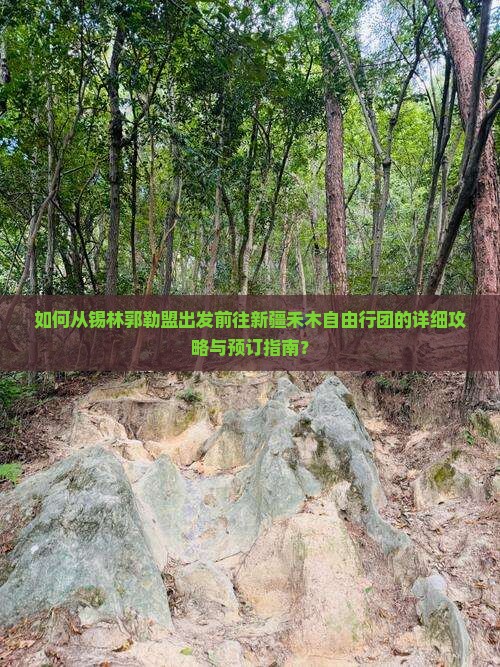 如何从锡林郭勒盟出发前往新疆禾木自由行团的详细攻略与预订指南？