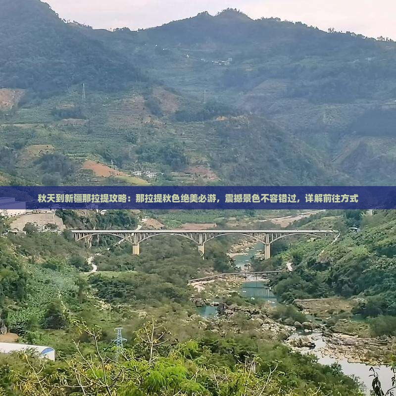 秋天到新疆那拉提攻略：那拉提秋色绝美必游，震撼景色不容错过，详解前往方式