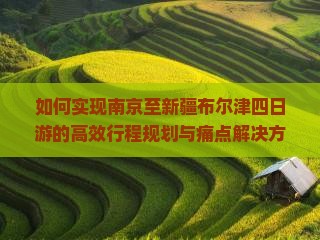 如何实现南京至新疆布尔津四日游的高效行程规划与痛点解决方案？