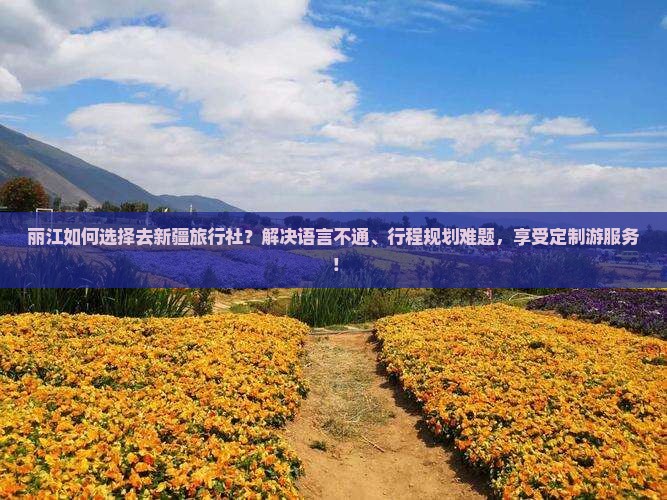 丽江如何选择去新疆旅行社？解决语言不通、行程规划难题，享受定制游服务！
