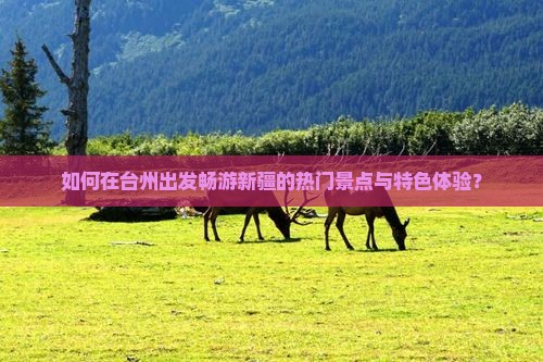 如何在台州出发畅游新疆的热门景点与特色体验？