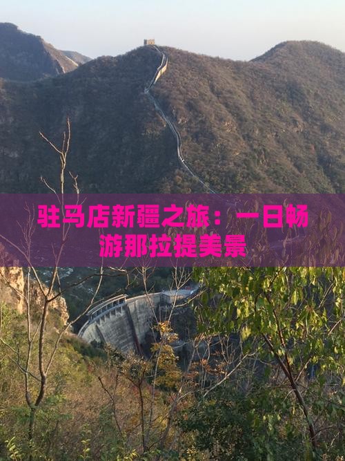 驻马店新疆之旅：一日畅游那拉提美景