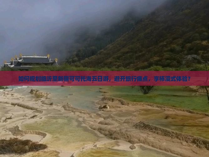 如何规划临沂至新疆可可托海五日游，避开旅行痛点，享柿浸式体验？