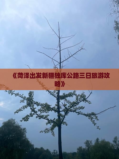 《菏泽出发新疆独库公路三日旅游攻略》