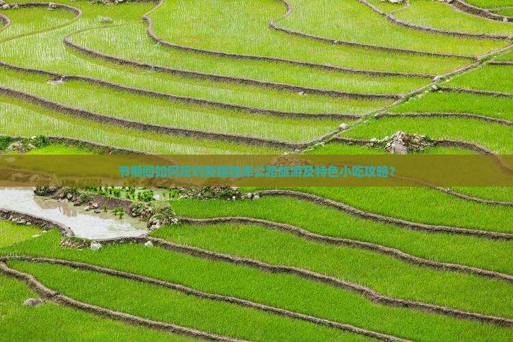 节期间如何规划新疆独库公路旅游及特色小吃攻略？
