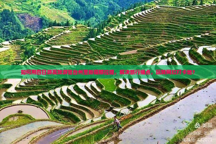 如何用四日游高效游览台州至新疆那拉提，解决旅行痛点，玩转网红打卡地？