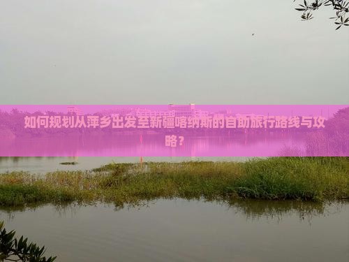 如何规划从萍乡出发至新疆喀纳斯的自助旅行路线与攻略？