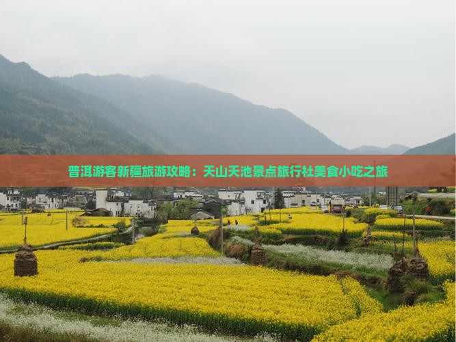 普洱游客新疆旅游攻略：天山天池景点旅行社美食小吃之旅