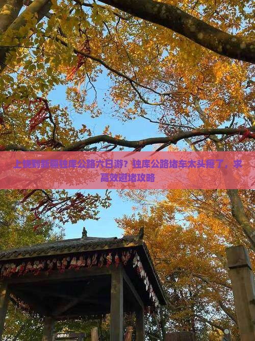 上饶到新疆独库公路六日游？独库公路堵车太头疼了，求高效避堵攻略