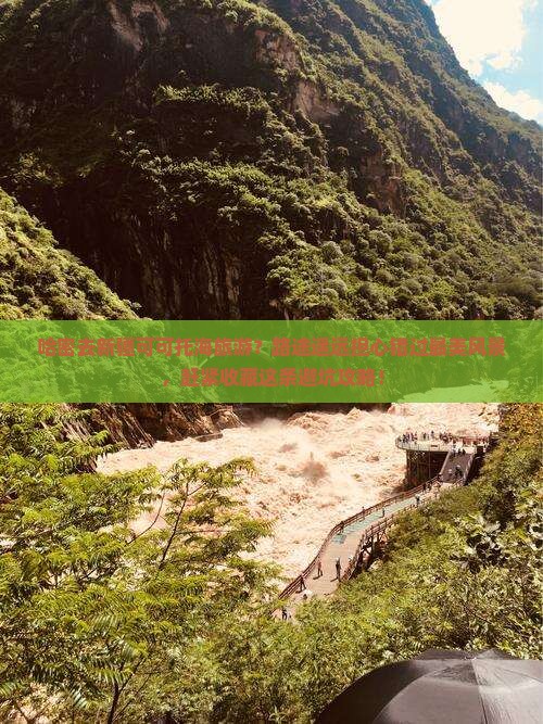哈密去新疆可可托海旅游？路途遥远担心错过最美风景，赶紧收藏这条避坑攻略！