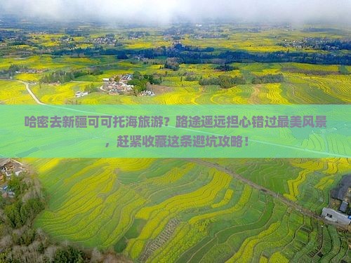 哈密去新疆可可托海旅游？路途遥远担心错过最美风景，赶紧收藏这条避坑攻略！