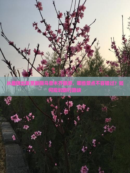 从盘锦出发至新疆乌鲁木齐旅游，哪些景点不容错过？如何规划旅行路峡