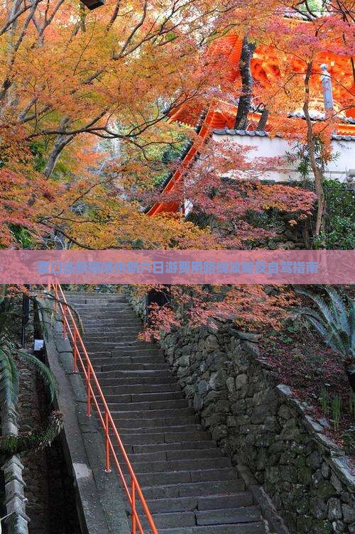 营口去新疆喀纳斯六日游费用路线攻略及自驾指南