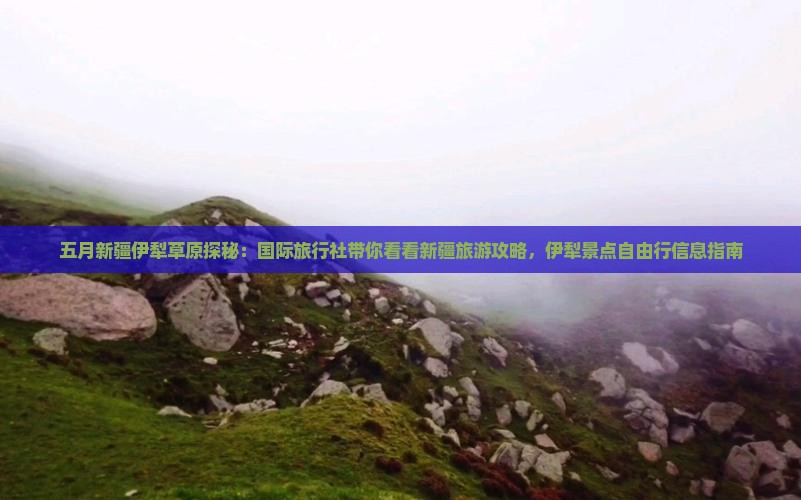 五月新疆伊犁草原探秘：国际旅行社带你看看新疆旅游攻略，伊犁景点自由行信息指南