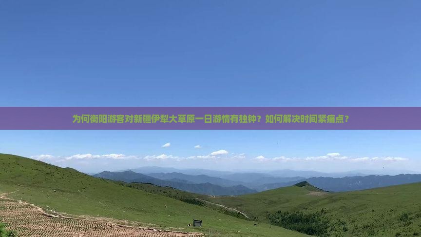 为何衡阳游客对新疆伊犁大草原一日游情有独钟？如何解决时间紧痛点？
