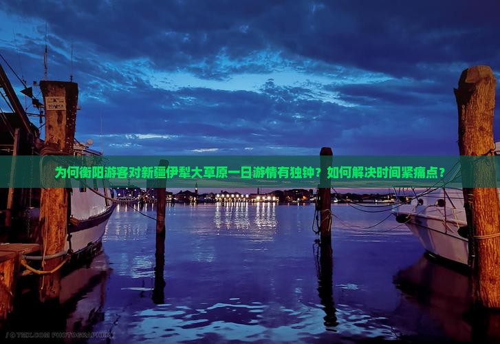 为何衡阳游客对新疆伊犁大草原一日游情有独钟？如何解决时间紧痛点？