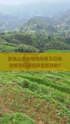 武夷山至新疆喀纳斯五日游攻略及行程安排是怎样的？