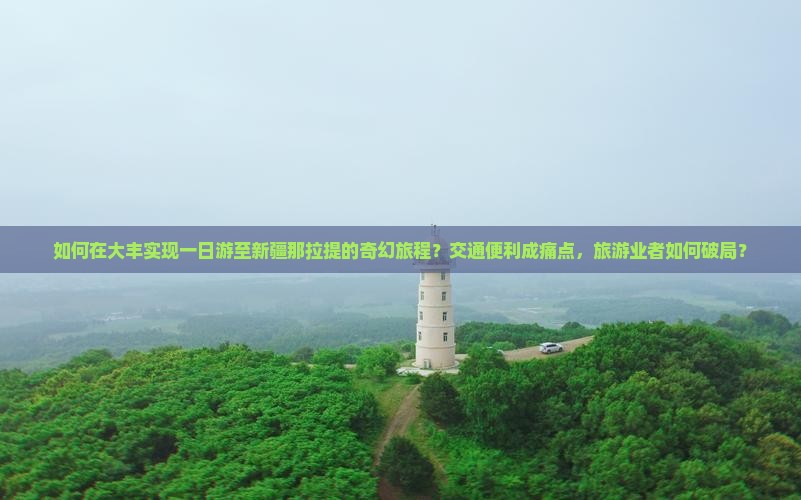 如何在大丰实现一日游至新疆那拉提的奇幻旅程？交通便利成痛点，旅游业者如何破局？