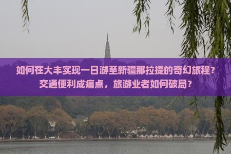 如何在大丰实现一日游至新疆那拉提的奇幻旅程？交通便利成痛点，旅游业者如何破局？