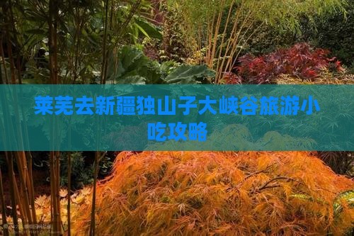 莱芜去新疆独山子大峡谷旅游小吃攻略