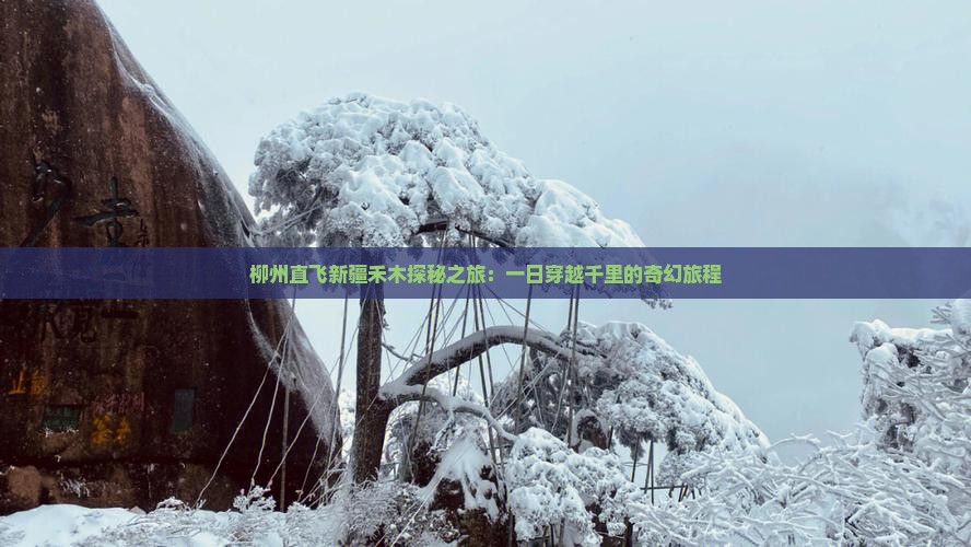 柳州直飞新疆禾木探秘之旅：一日穿越千里的奇幻旅程