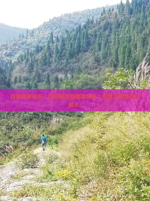 白银游客疑问：如何畅游新疆喀纳斯？五日深度体验攻略大！