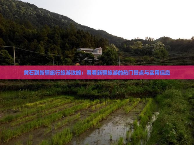 黄石到新疆旅行旅游攻略：看看新疆旅游的热门景点与实用信息