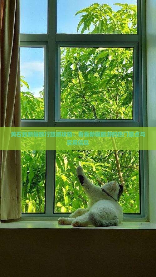 黄石到新疆旅行旅游攻略：看看新疆旅游的热门景点与实用信息
